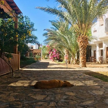 فندق الجوهرة دهب المظهر الخارجي الصورة