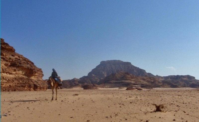 فندق الجوهرة دهب المظهر الخارجي الصورة