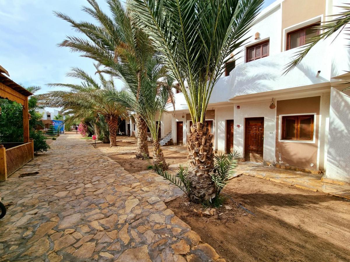 فندق الجوهرة دهب المظهر الخارجي الصورة
