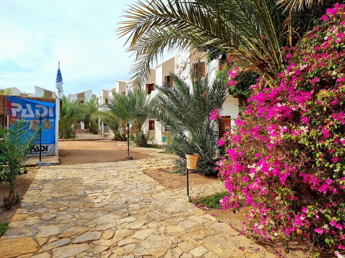 فندق الجوهرة دهب المظهر الخارجي الصورة