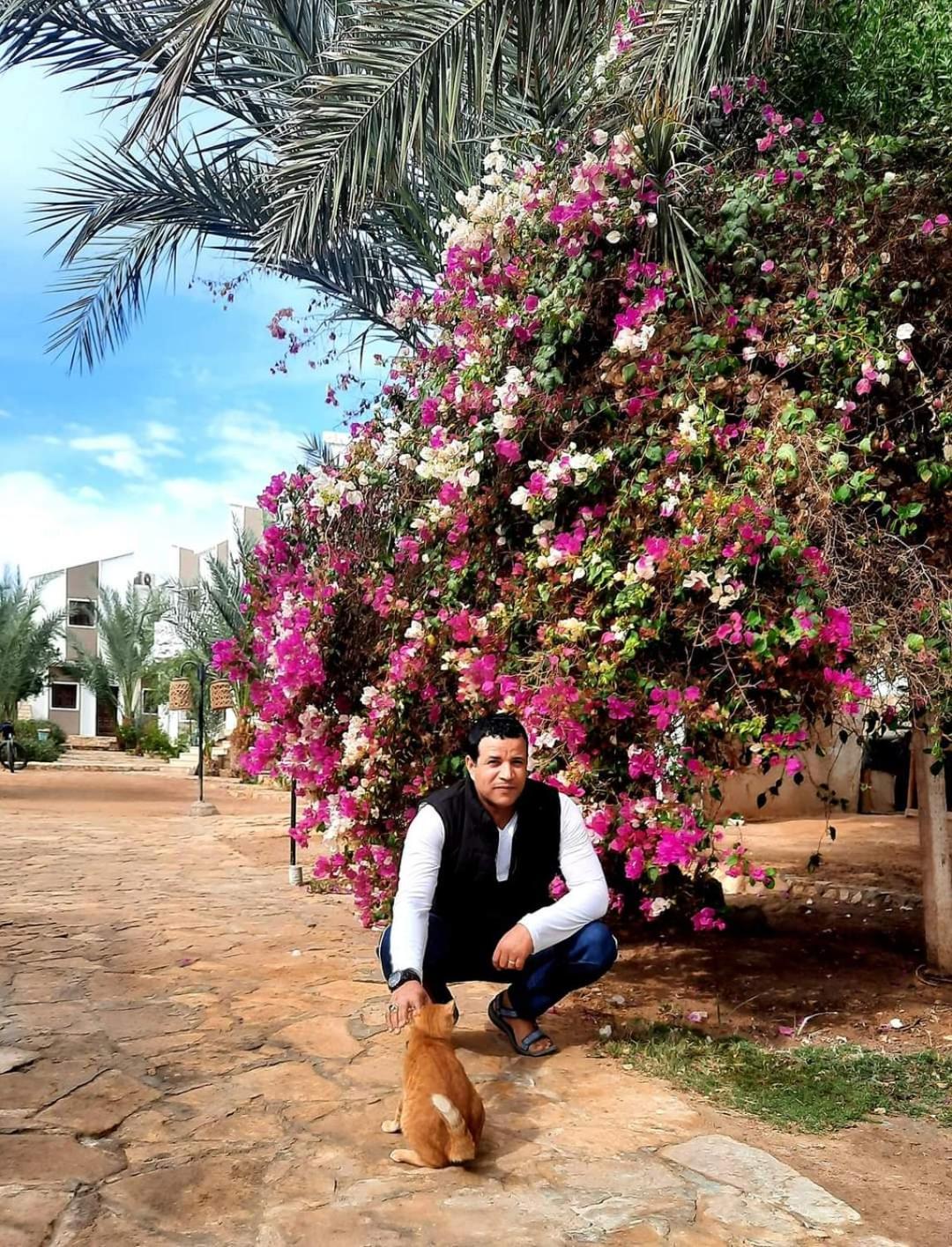فندق الجوهرة دهب المظهر الخارجي الصورة