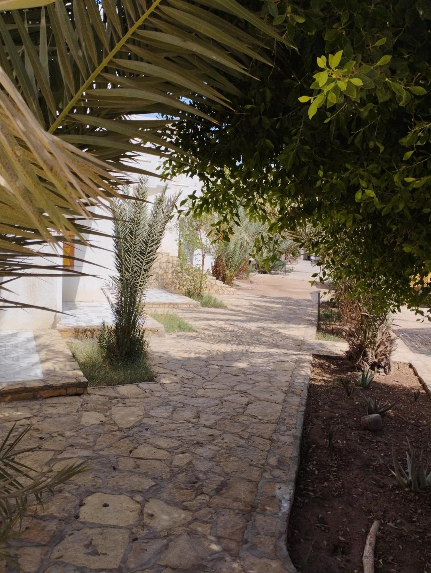فندق الجوهرة دهب المظهر الخارجي الصورة