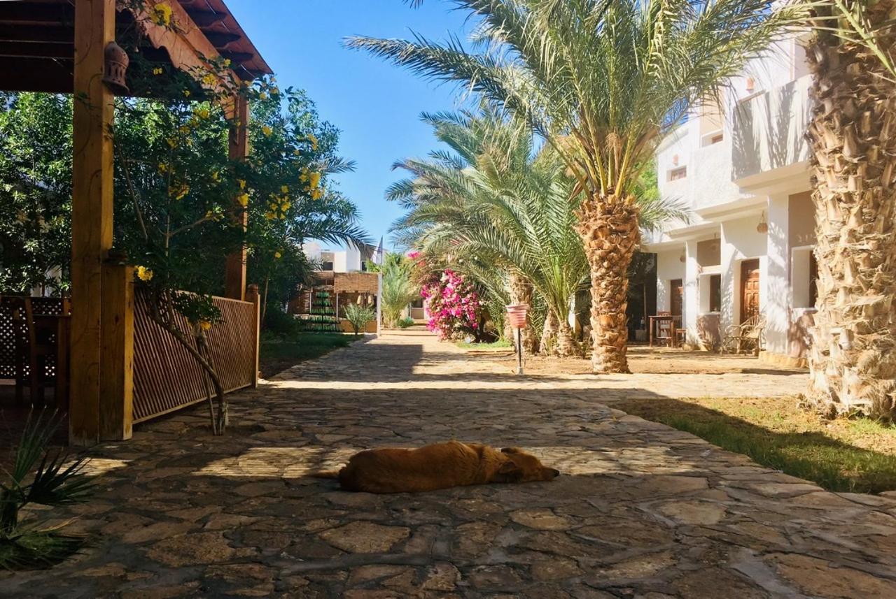 فندق الجوهرة دهب المظهر الخارجي الصورة